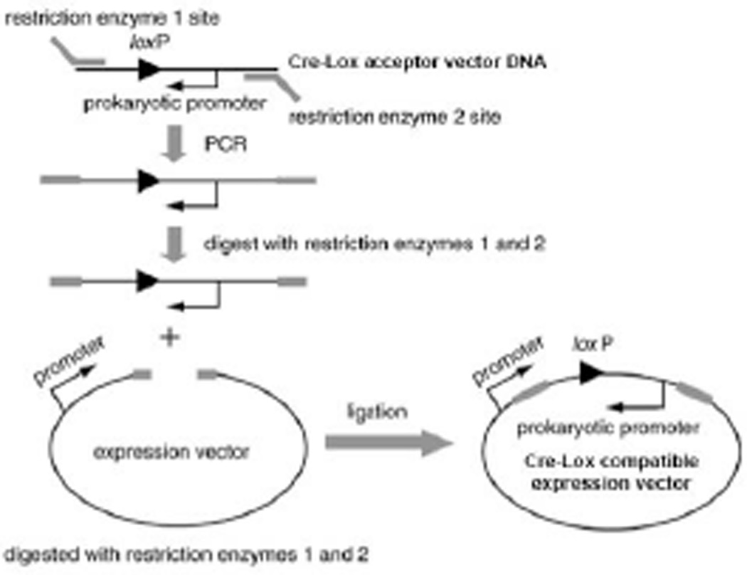 Figure 3.20.7