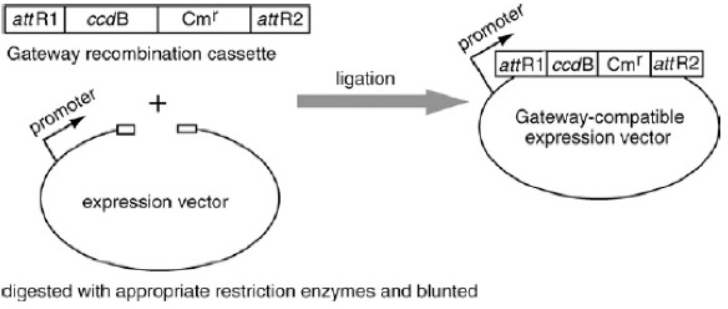 Figure 3.20.6