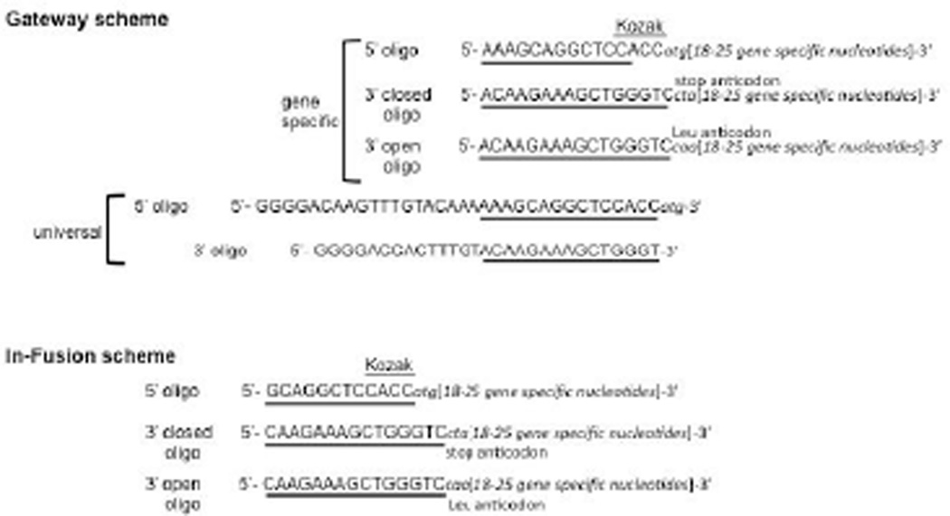 Figure 3.20.3