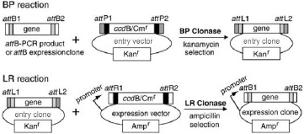 Figure 3.20.4