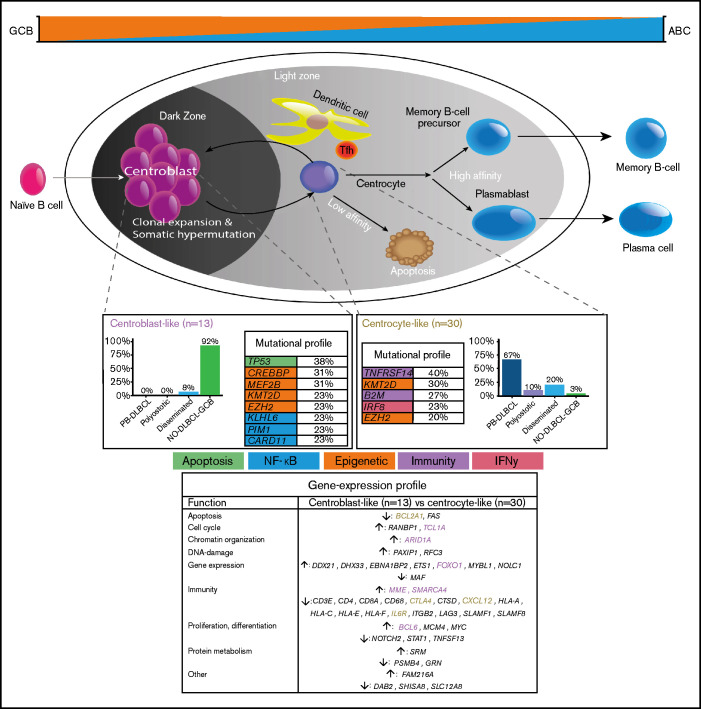 Figure 6.