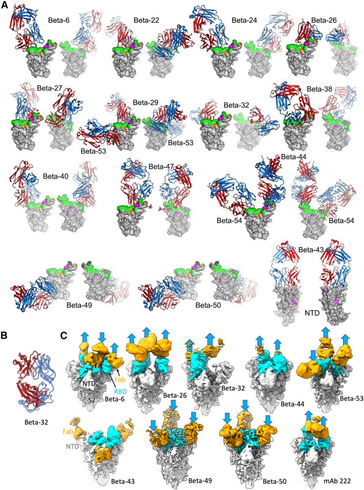 Figure 4