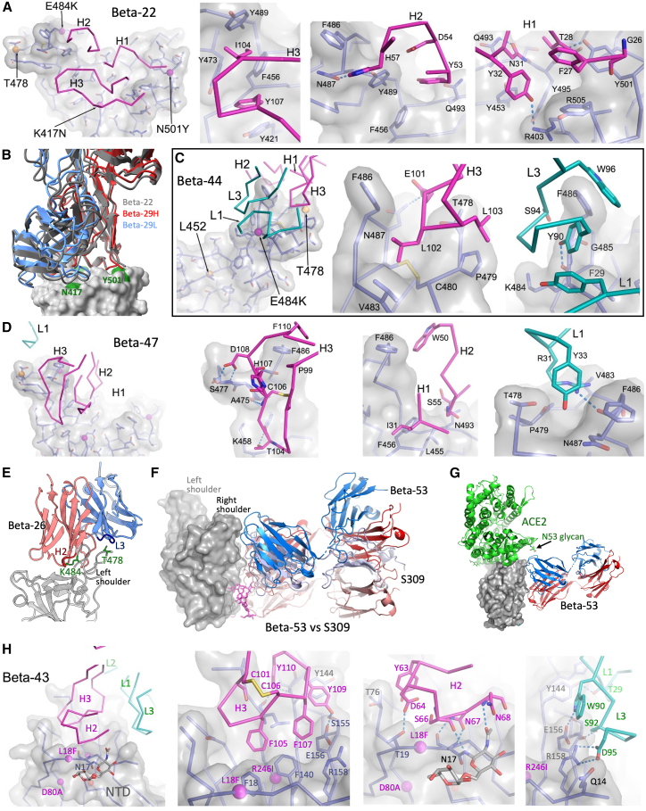 Figure 7