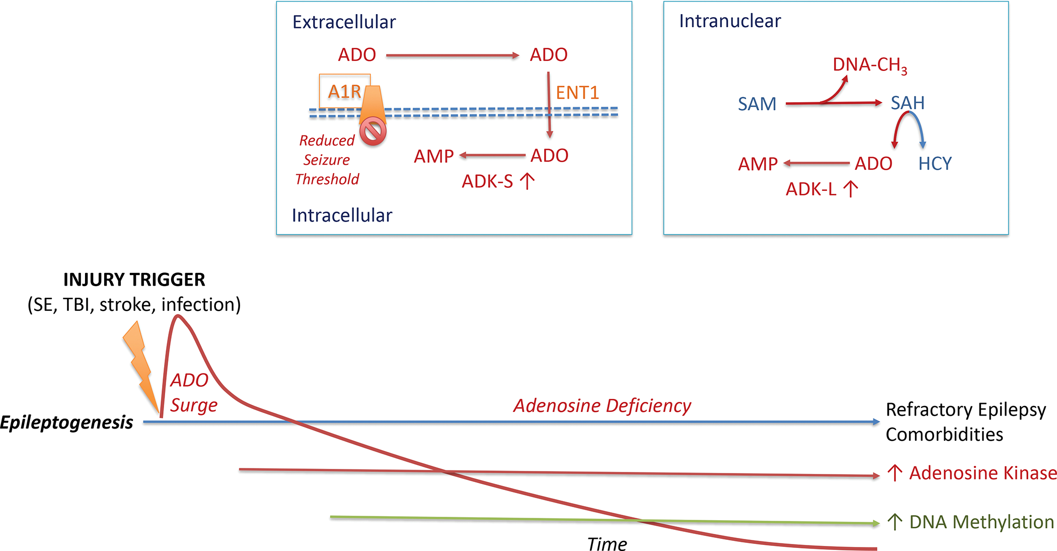 Figure 3: