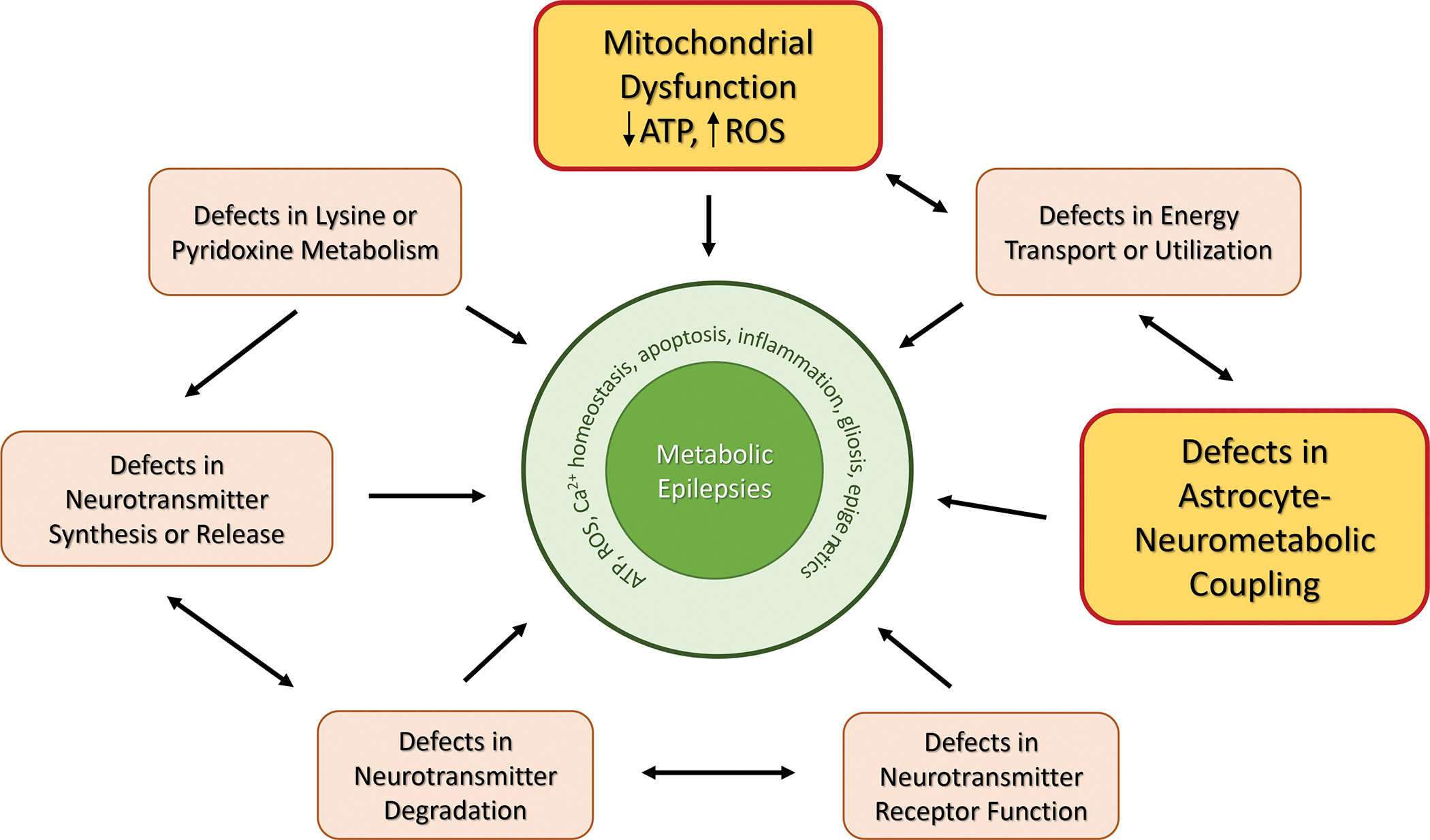 Figure 4: