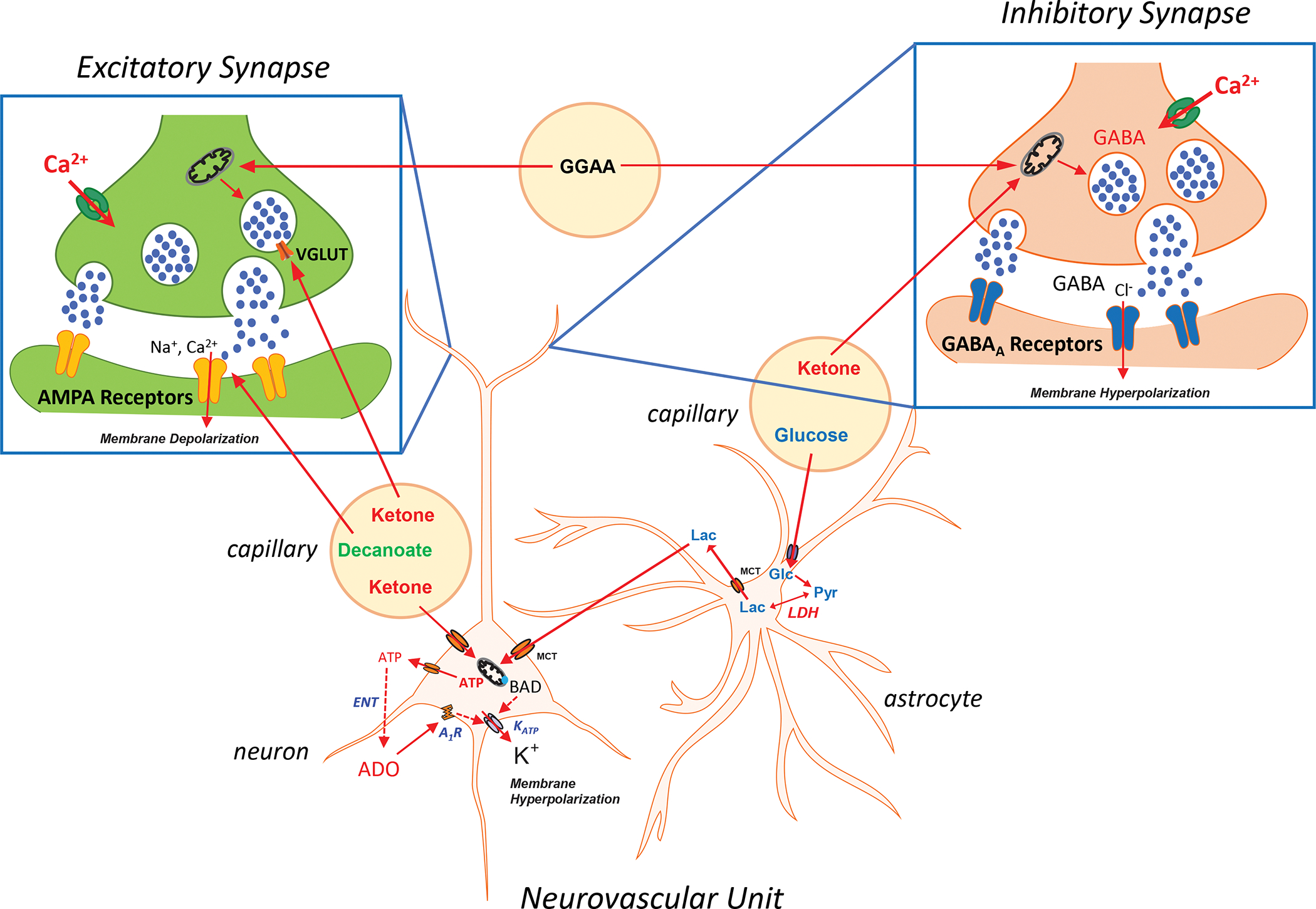 Figure 5: