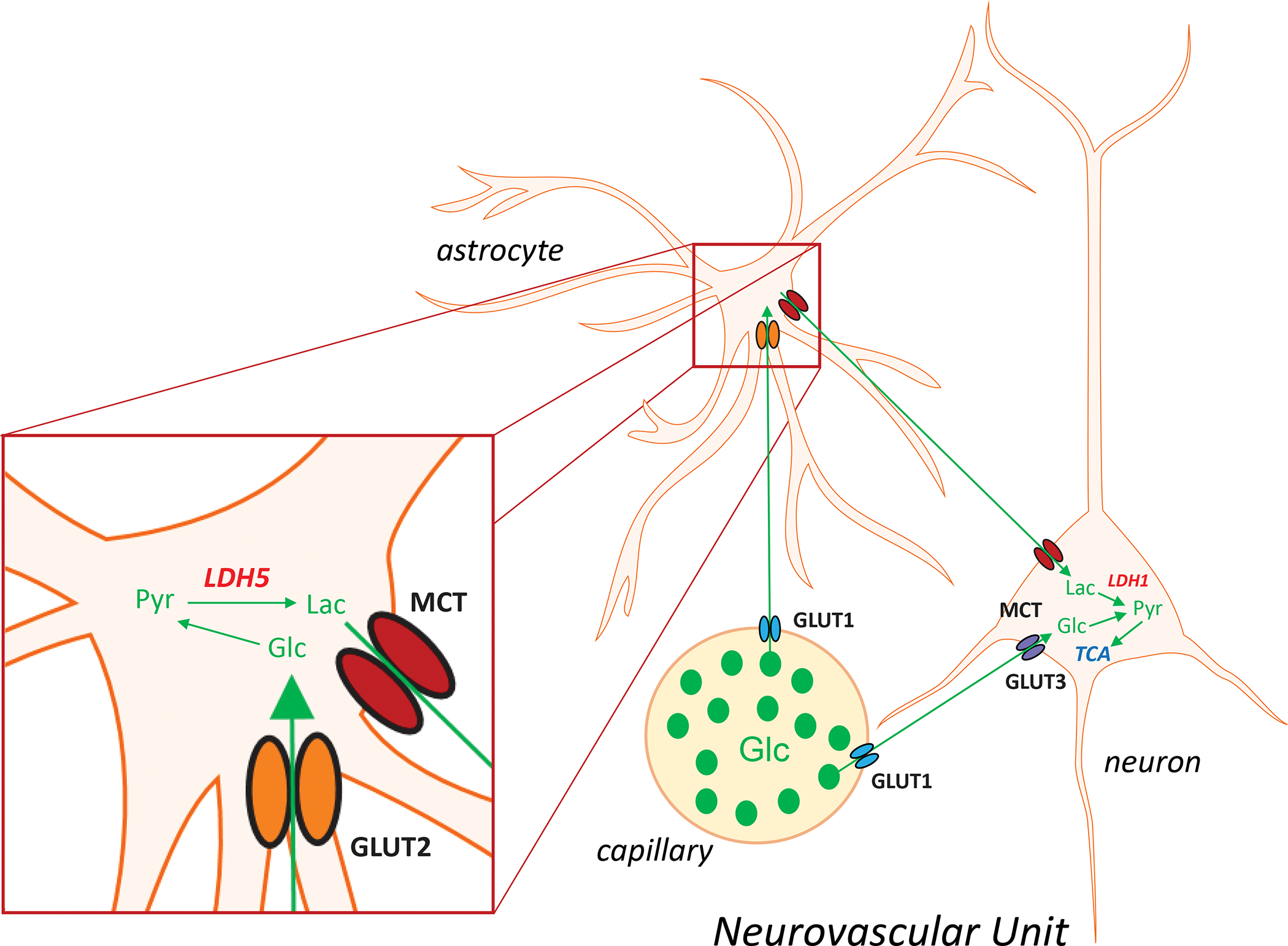 Figure 1: