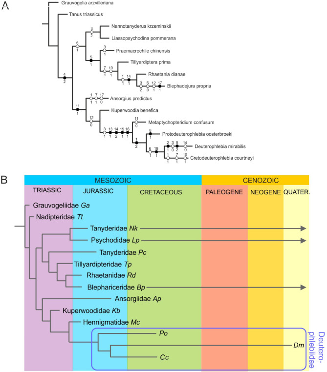 Fig. 7