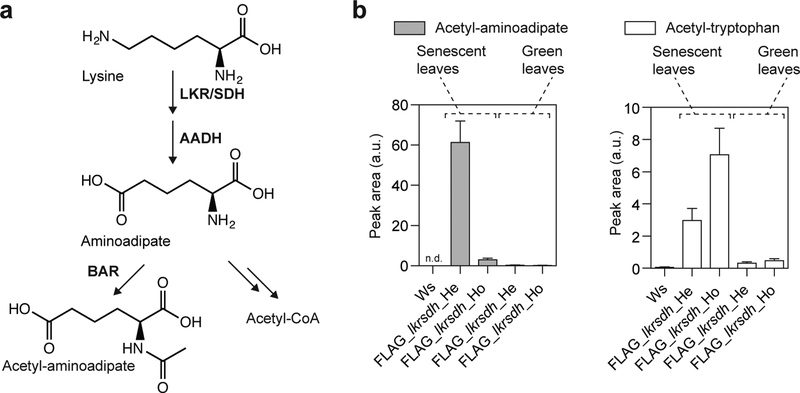 Figure 2 |