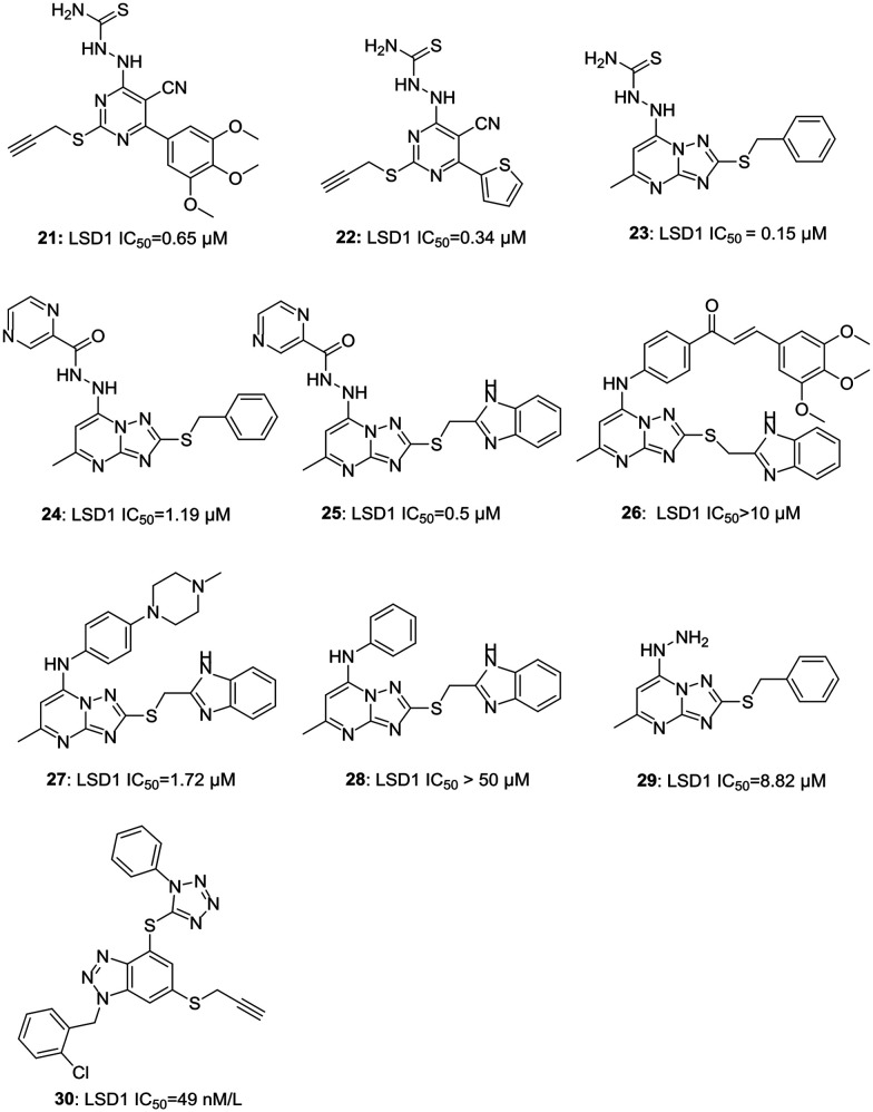 Fig. 5