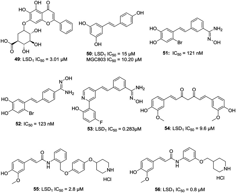 Fig. 8