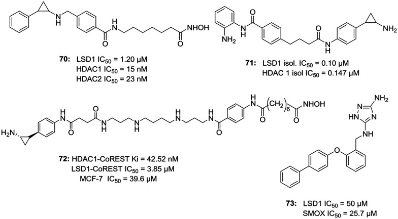 Fig. 13