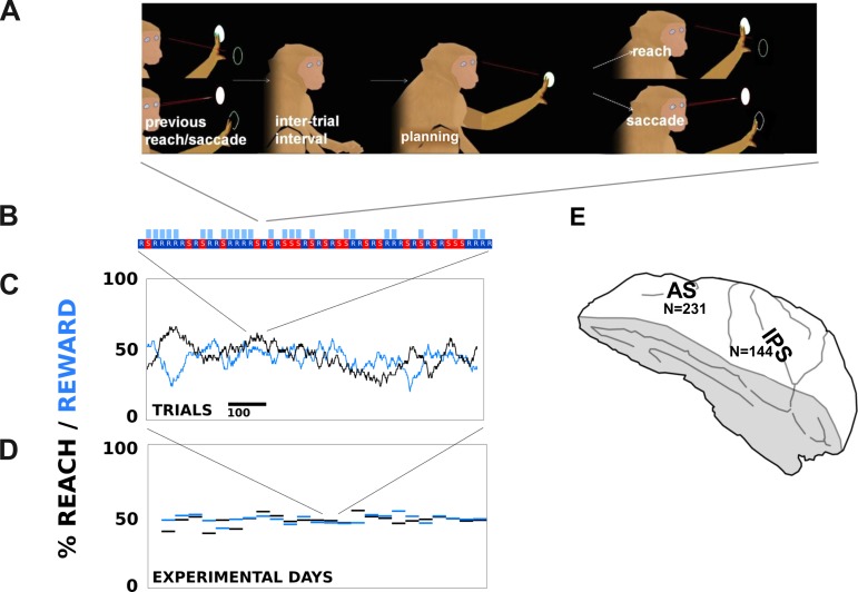 Fig. 1.