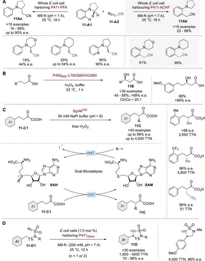 FIGURE 11