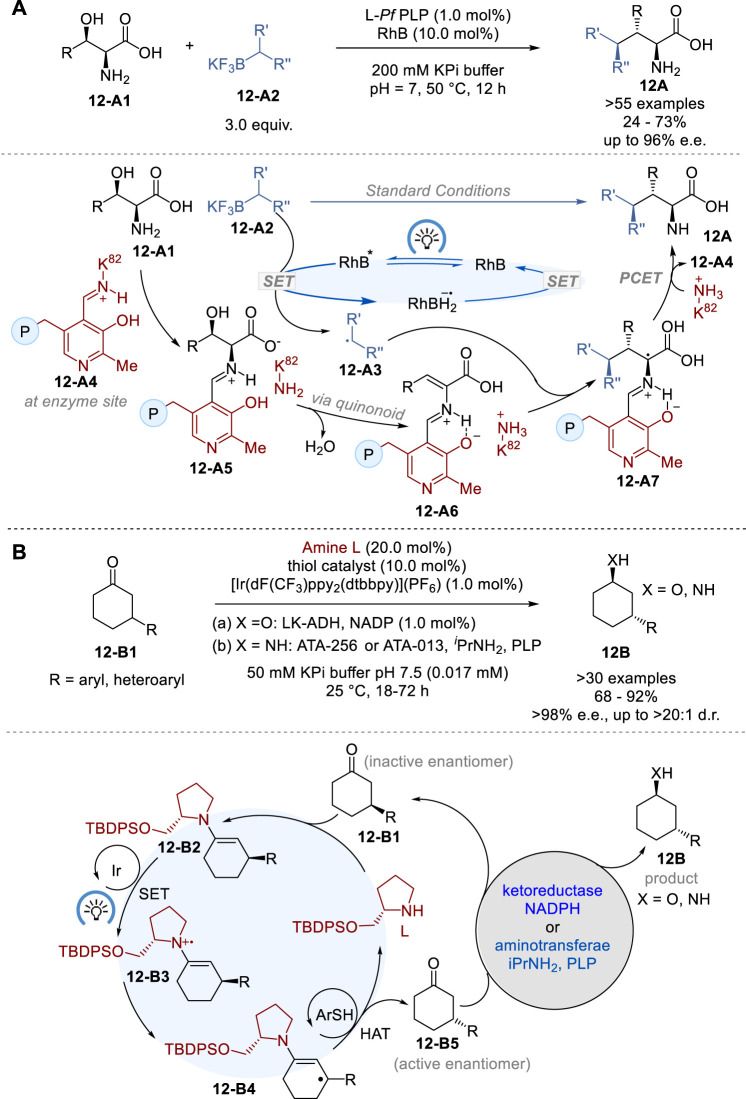 FIGURE 12