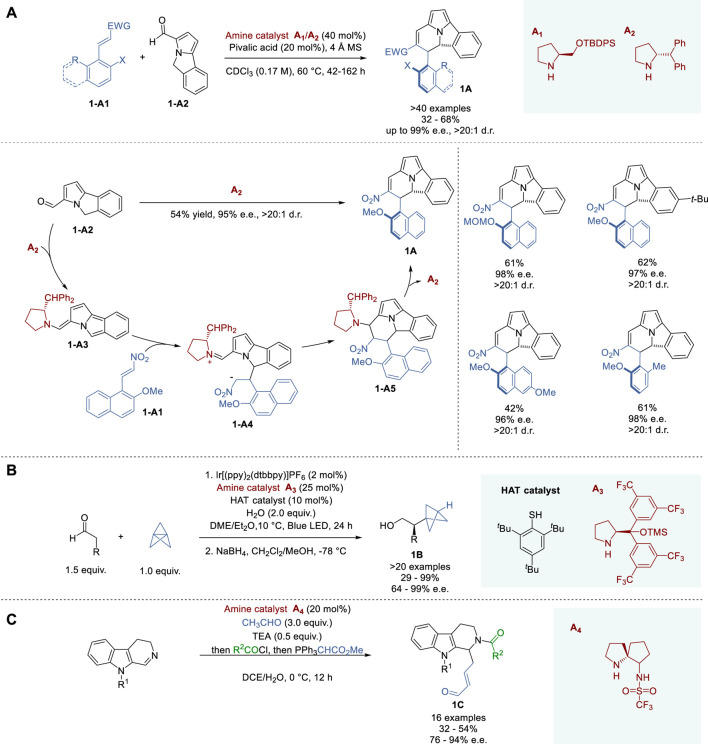 FIGURE 1