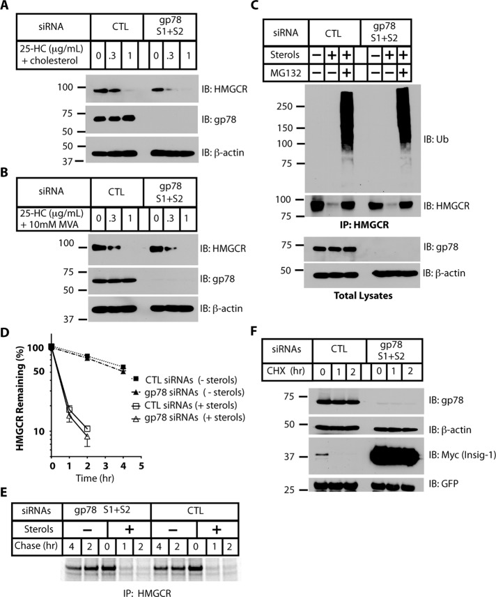 FIGURE 4: