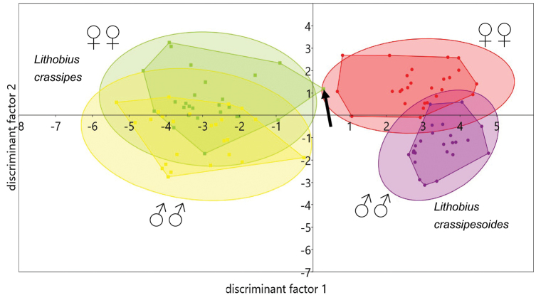 Figure 11.