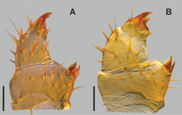 Figure 16.