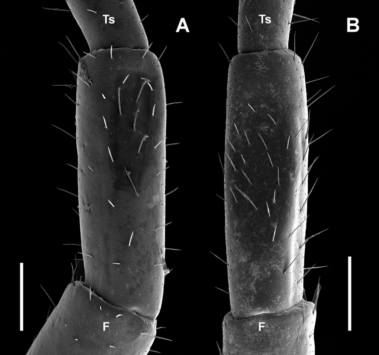 Figure 15.