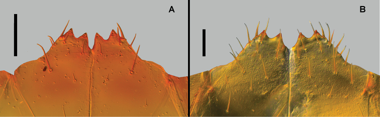 Figure 14.