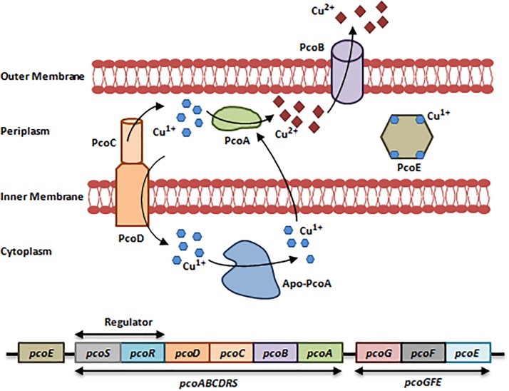 FIGURE 2