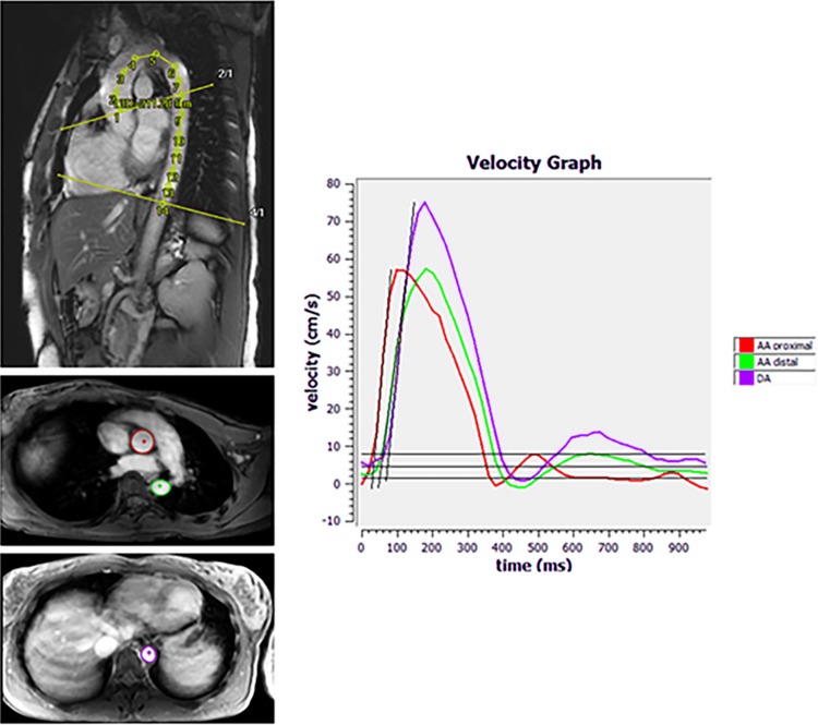 Fig. 2