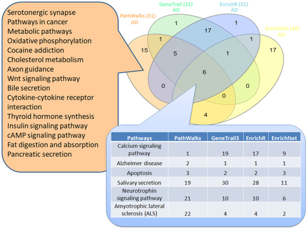 Fig. 6.