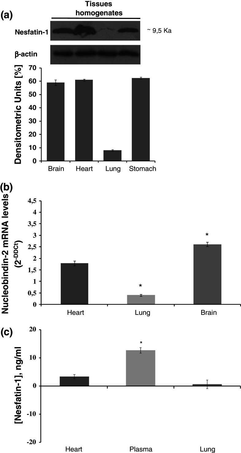 Fig. 1