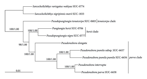 Figure 1