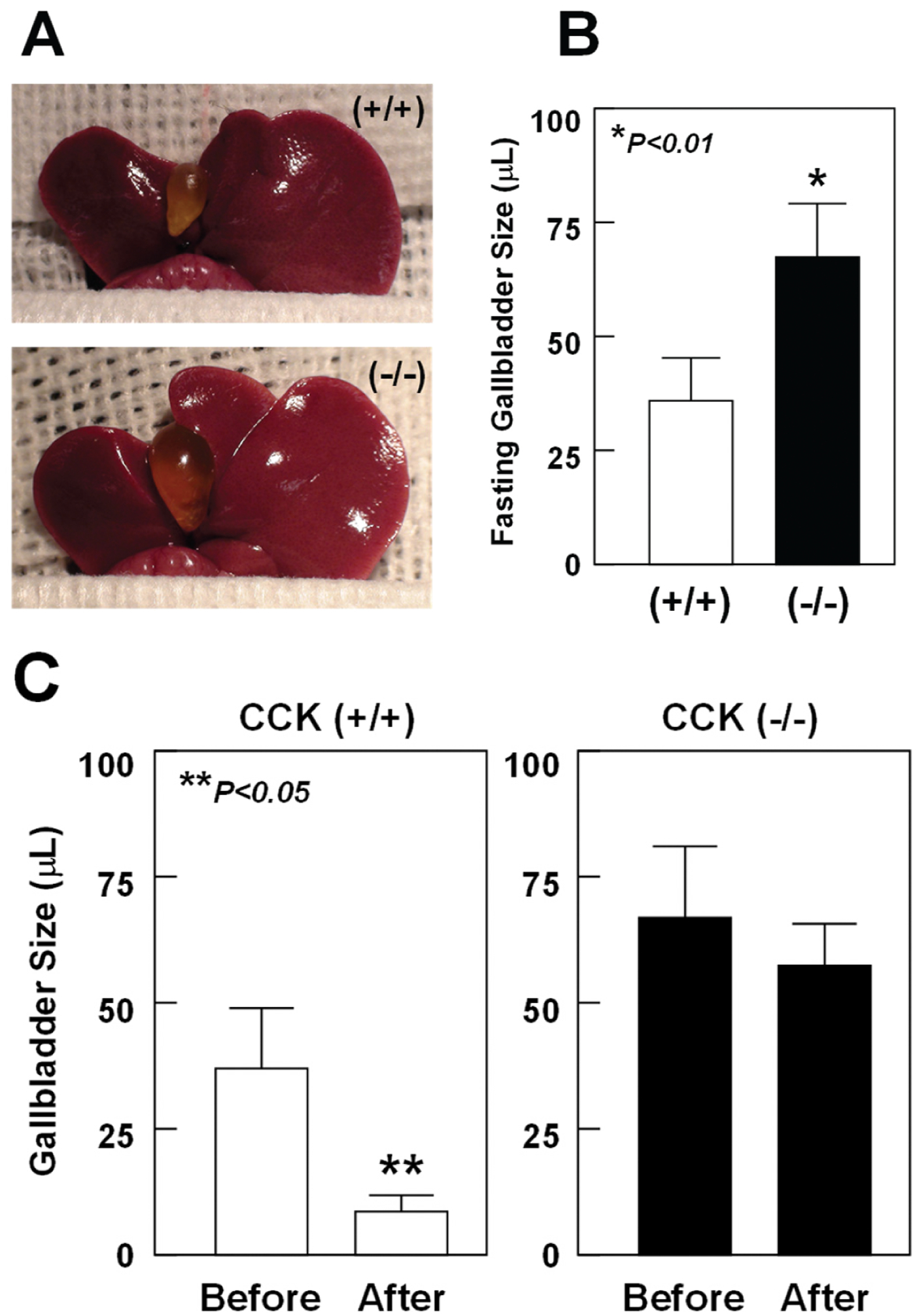 Fig. (5).