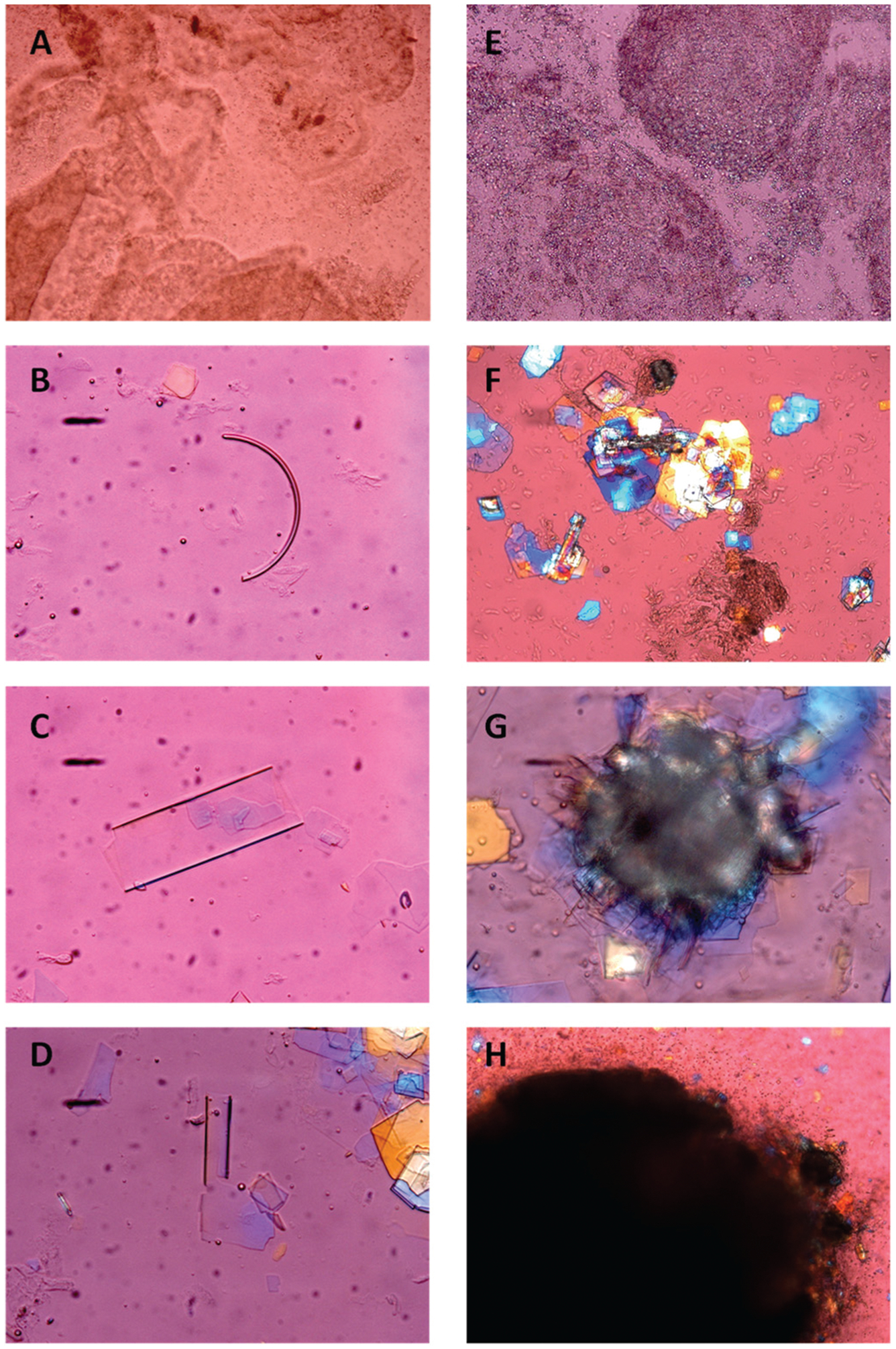 Fig. (6).