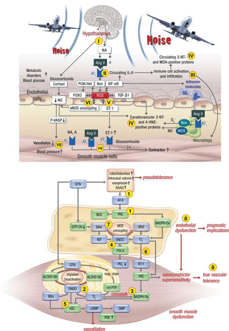 FIG. 6.