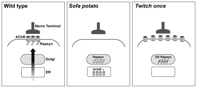 Fig 9