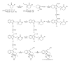 Scheme 10