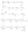 Scheme 4