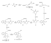 Scheme 12