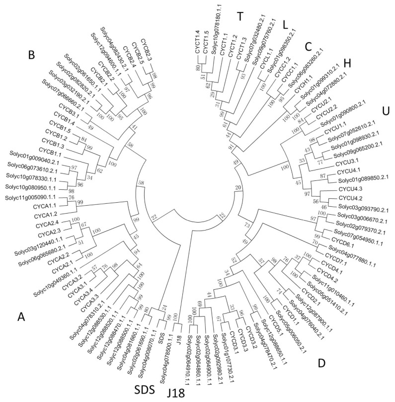 Figure 1.