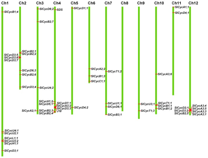 Figure 5.