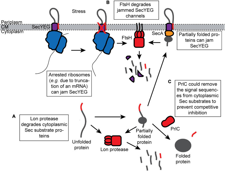 FIGURE 3