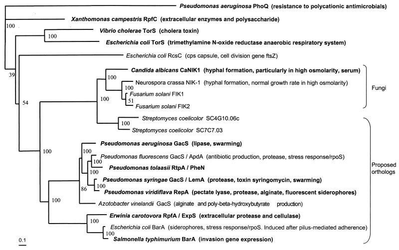 FIG. 1