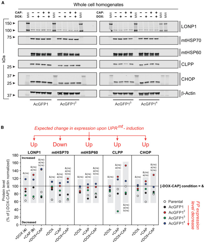 Figure EV3