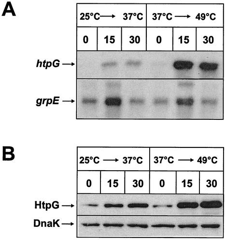 FIG. 5.