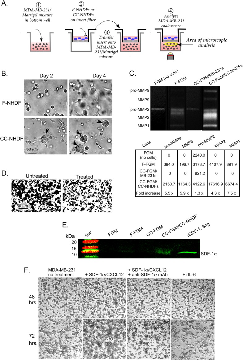 Fig 7