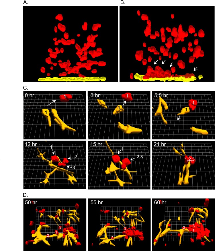 Fig 4