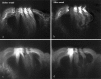 Fig. 8.