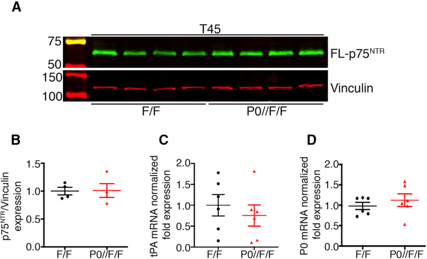 Figure 11.