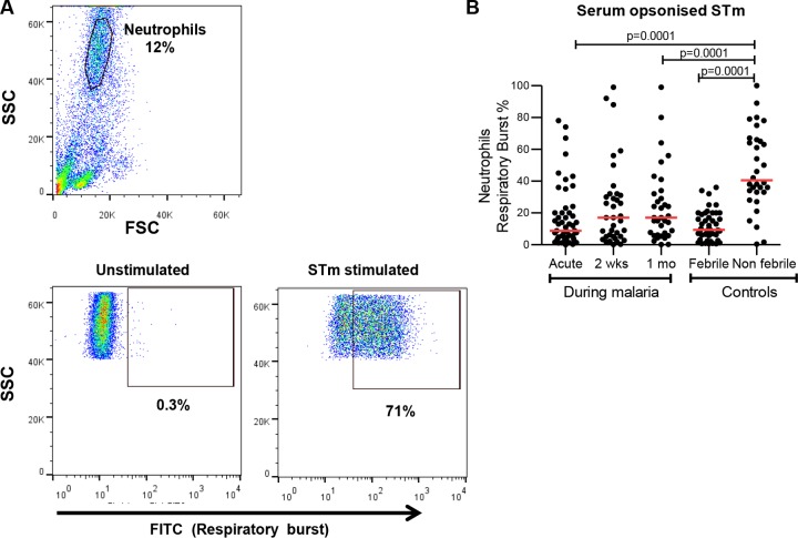 FIG 6