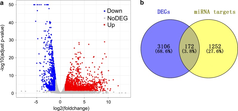 Fig. 11