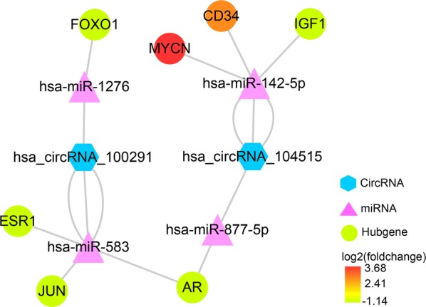 Fig. 15